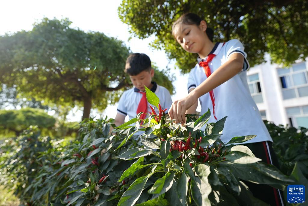 v86.cc威尼斯
